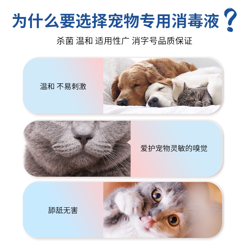 主图2.jpg